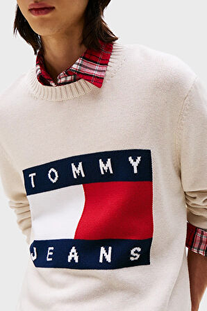Tommy Jeans Erkek Kazak DM0DM22105 AFN