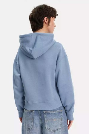 Tommy Jeans Kadın Sweatshirt-DW0DW19414