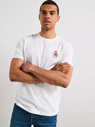 Tommy Hilfiger Rwb Crest Tee Erkek T-Shirt MW0MW40024