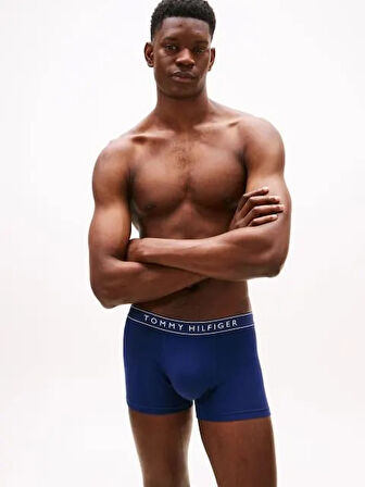 Tommy Hilfiger Erkek Boxer UM0UM035200VQ