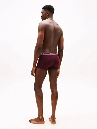 Tommy Hilfiger Erkek Boxer UM0UM035200VQ