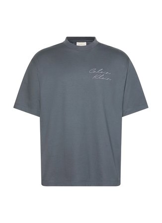 Calvin Klein Jeans Gri Erkek Standart Fit Baskılı T-Shirt LV04RE828GCKP Gri T-Shirt