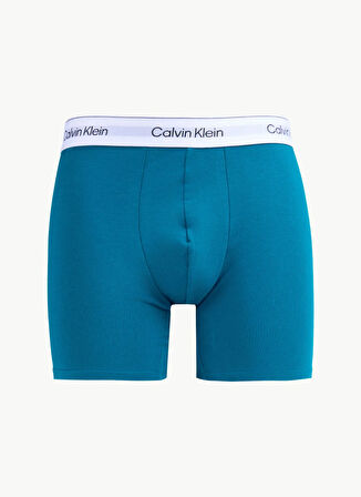 Calvin Klein Çok Renkli Erkek Boxer LV00NB45672VI