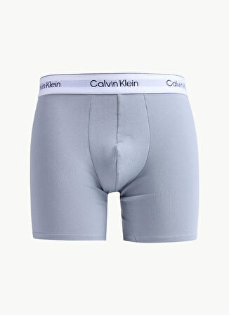 Calvin Klein Çok Renkli Erkek Boxer LV00NB45672VI