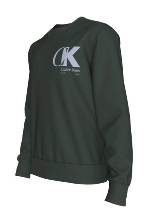 Calvin Klein Erkek Swearshirt LV04LD243GLLG
