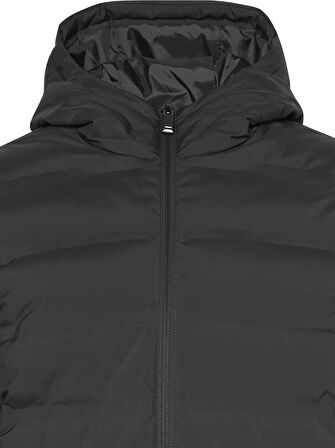 CALVIN KLEIN Erkek Marka Logolu Kapitone Regular Fit Kalıp Siyah Mont LV04LD521G UB1