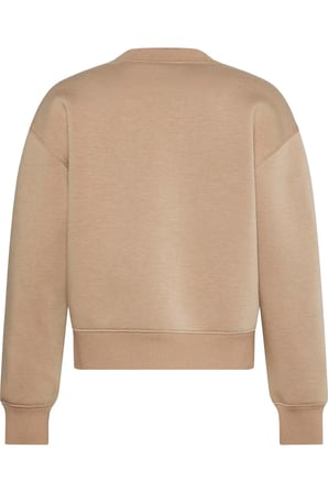 LS BOXY SCUBA CREW SWEATSHIRT Kadın Kahverengi Sweatshirt