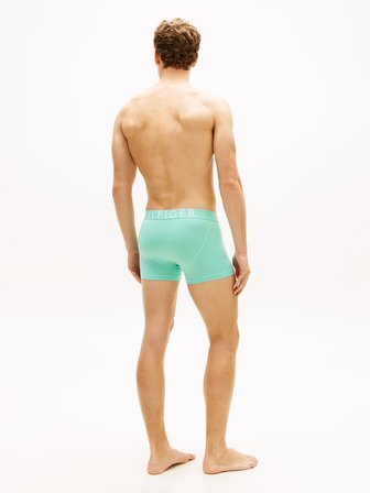 3P TRUNK Erkek Mor Boxer - UM0UM03885