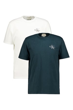 CALVIN KLEIN Erkek Marka Logolu Günlük Kullanıma Uygun Çok Renkli T-Shirt LV04RF279G W13