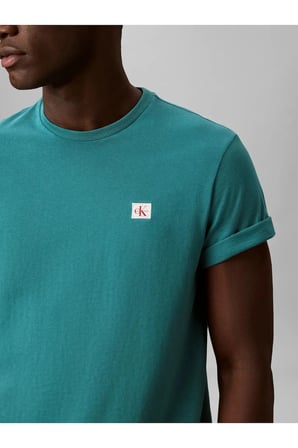 SS BADGE 30S JERSEY, 8ZU Yeşil Erkek T-Shirt