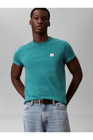 SS BADGE 30S JERSEY, 8ZU Yeşil Erkek T-Shirt