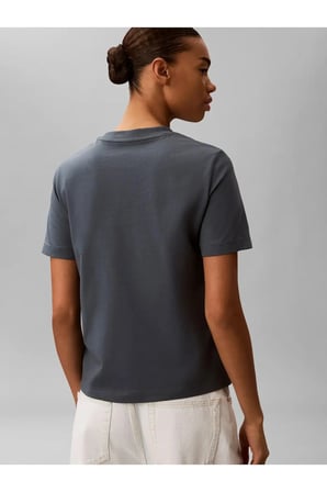 A- INST LOGO CLASSIC, CEG Kadın Gri T-Shirt & Polo