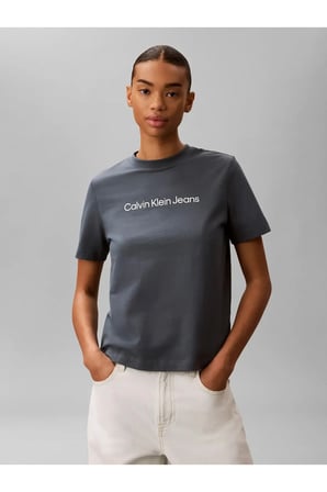 A- INST LOGO CLASSIC, CEG Kadın Gri T-Shirt & Polo