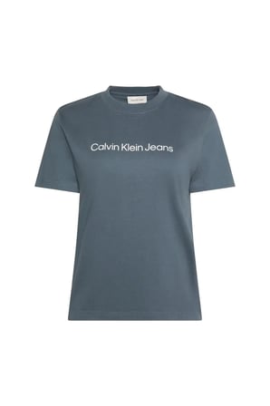 A- INST LOGO CLASSIC, CEG Kadın Gri T-Shirt & Polo
