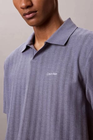 Calvin Klein Erkek Tişört-LV04LG209G