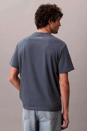 Calvin Klein Erkek Tişört-LV04RG815G
