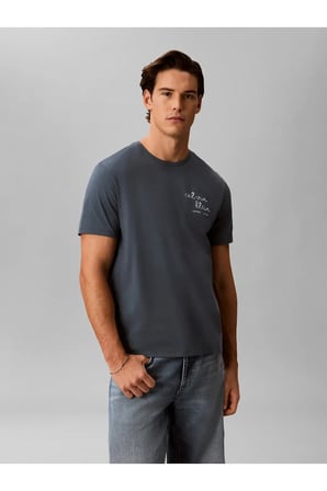 SS 30S EU CK TRVL LI, CEG Mavi Erkek T-Shirt