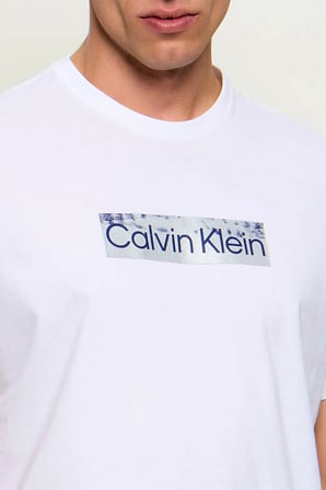 Calvin Klein Erkek Tişört-LV04LG811G