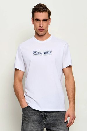 Calvin Klein Erkek Tişört-LV04LG811G