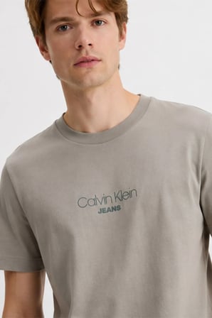 Calvin Klein Erkek Tişört-LV04RB824G