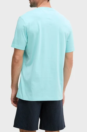 Tommy Hilfiger Logolu Pamuklu Regular Fit Bisiklet Yaka T Shirt Erkek T SHİRT MW0MW43066 CSR AQUA