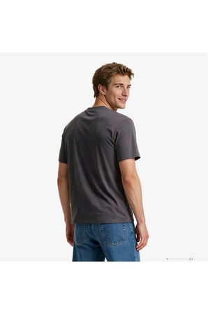 20S Distressd Monologo Graphic Erkek Gri T-Shirt