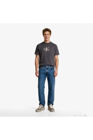 20S Distressd Monologo Graphic Erkek Gri T-Shirt