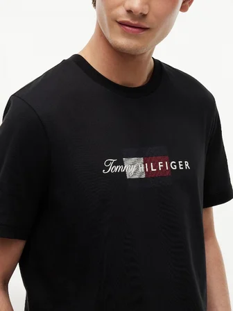 SCRIPT FLAG REGULAR TEE Erkek Siyah T-Shirt - MW0MW43226