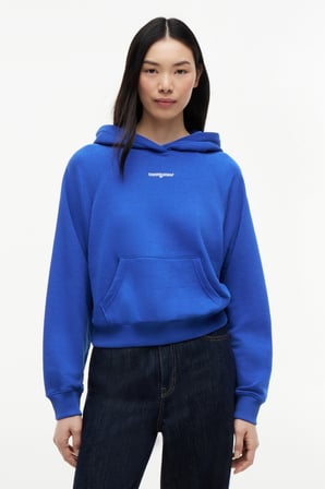TJW SCRIPT RAGLAN HOODIE