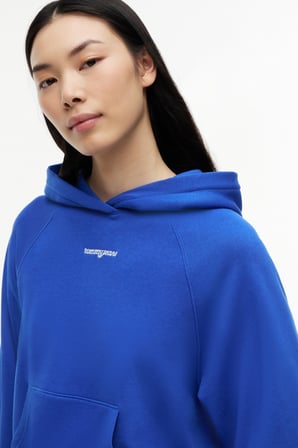 TJW SCRIPT RAGLAN HOODIE
