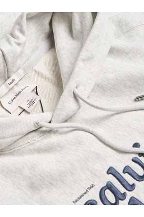 LS PREMIUM TERRY GRAPHIC HOODIE