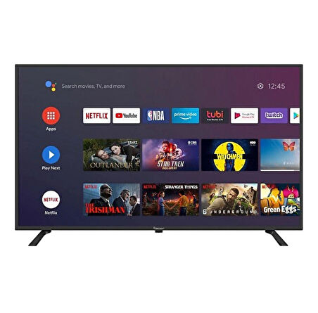 Wismann 24" Google TV 12V Uydu Alıcılı Televizyon