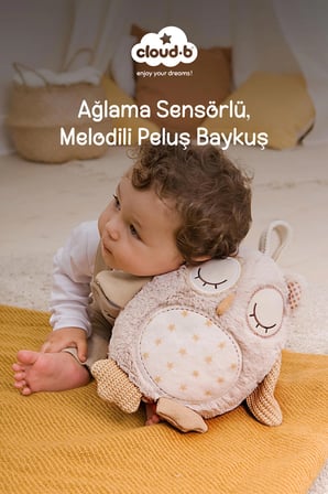 Cloud-B Melodili Peluş Baykuş Uyku Arkadaşı 16,5x36,8x22,9 cm