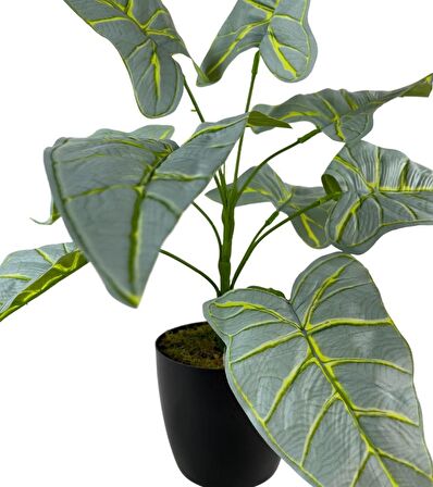 Yapay Çiçek Fil Kulağı Açık Yeşil Islak Doku Salon Bitkisi Siyah Saksıda 40cm 9 Yapraklı 