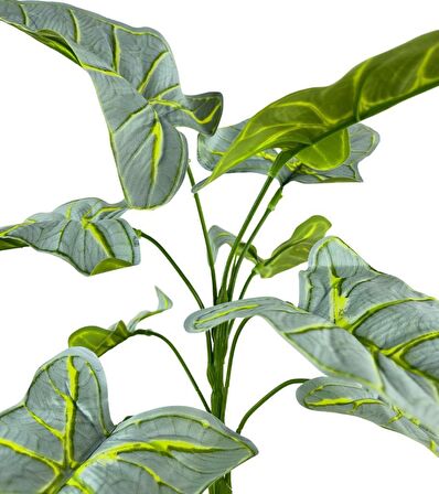 Yapay Çiçek Fil Kulağı Açık Yeşil Islak Doku Salon Bitkisi Siyah Saksıda 40cm 9 Yapraklı 