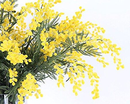 Yapay Çiçek Sarı Mimoza Uzun Dal 75cm 3Dallı Minosa Yapay Bitki 