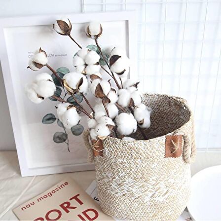 Doğal Pamuk Çiçeği 5Adet 5 li Kuru Çiçek 56cm Yapay Çiçek 