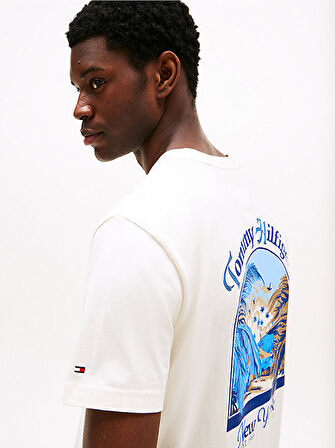 erkek hilfiger summer photo t-shirt
