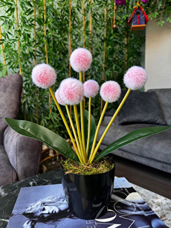 Yapay Çiçek Kırmızı Açık Pompon Siyah Saksıda Dekoratif Yapay Çiçek 30*20cm