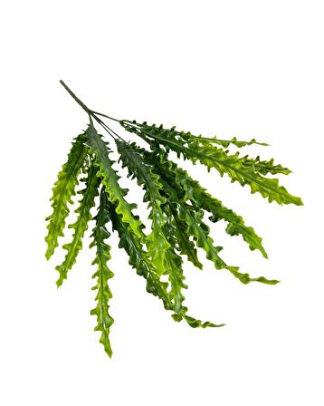 Yapay Çiçek Kıvırcık Saz Yeşil 5 Dallı 40*20cm Aradal Garnitür Çiçek 