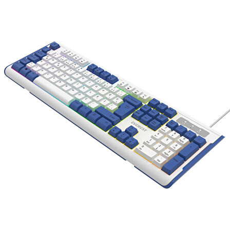 Everest KB-74 USB Rainbow Aydınlatmalı Q Membrane Multıemdya Gaming Oyuncu Klavyesi (Beyaz Mavi)