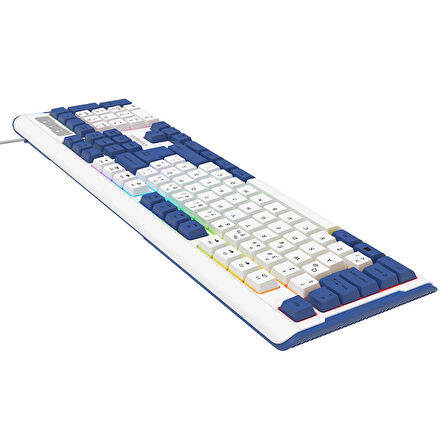 Everest KB-74 USB Rainbow Aydınlatmalı Q Membrane Multıemdya Gaming Oyuncu Klavyesi (Beyaz Mavi)