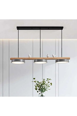 Modern Led Woad Avize