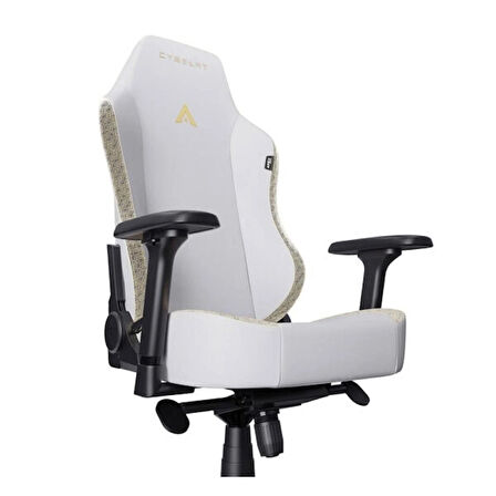 Cybeart Apex NEO Series – Lunar Edition PU Deri Bel Destekli 4D Hafızalı Yastık Oyuncu Koltuğu