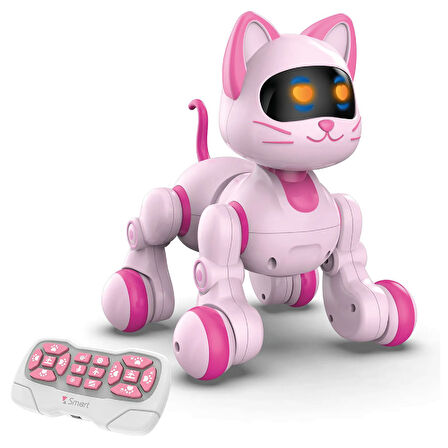 Uzaktan Kumandalı Ses Kontrollü Programlanabilir Akıllı Robot Kedi