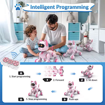 Uzaktan Kumandalı Ses Kontrollü Programlanabilir Akıllı Robot Kedi