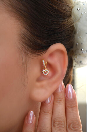 6 mm Kalpli Halka Piercing Forward Helix Tragus Kıkırdak Helix Kalp Piercing