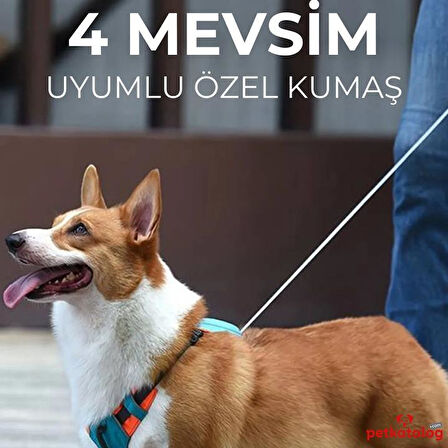 Hesperus Kendinden Gezdirmeli Çok Yönlü Uzatılabilir Köpek Göğüs Tasması (Yeni Nesil) LARGE