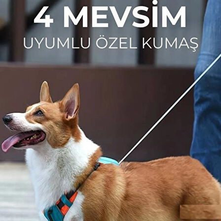 Hesperus Kendinden Gezdirmeli Çok Yönlü Uzatılabilir Köpek Göğüs Tasması (Yeni Nesil) X-LARGE 