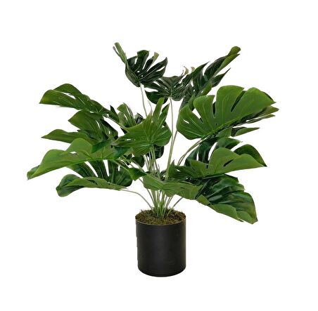 Yapay Çiçek Monstera Deve Tabanı Siyah Saksılı Salon Çiçeği 18 Yaprak 58cm